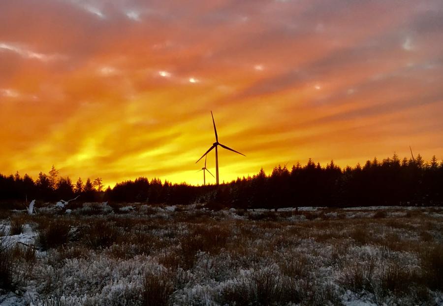 whitelee_windfarm